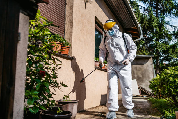 Best Best Pest Control Companies  in Sparks, TX