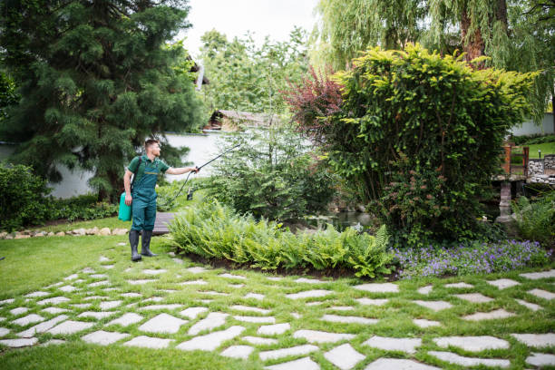 Best Pest Removal Services  in Sparks, TX