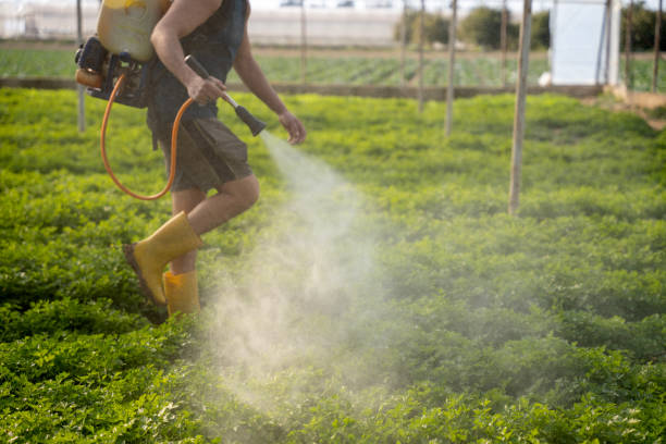 Best Pest Prevention Services  in Sparks, TX