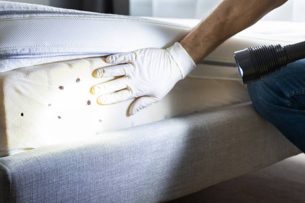 Best Affordable Pest Control Services  in Sparks, TX