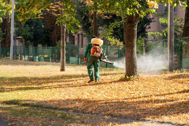 Best Pest Control Near Me in Sparks, TX