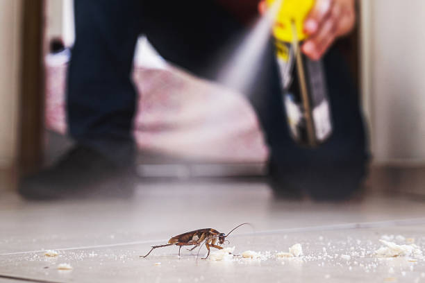 Flea Control Services in Sparks, TX