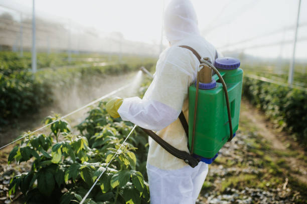 Trusted Sparks, TX Pest Control Experts
